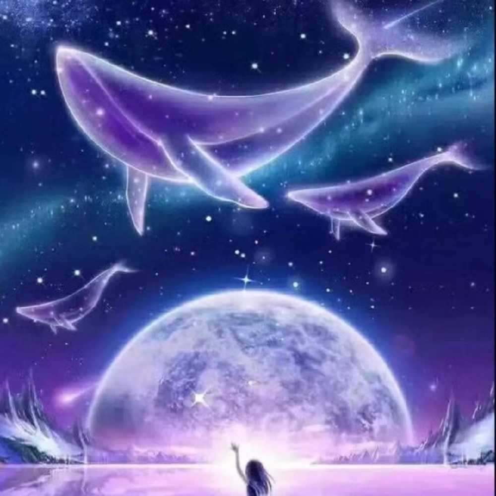 合肥百惠互联网络科技公司兼职